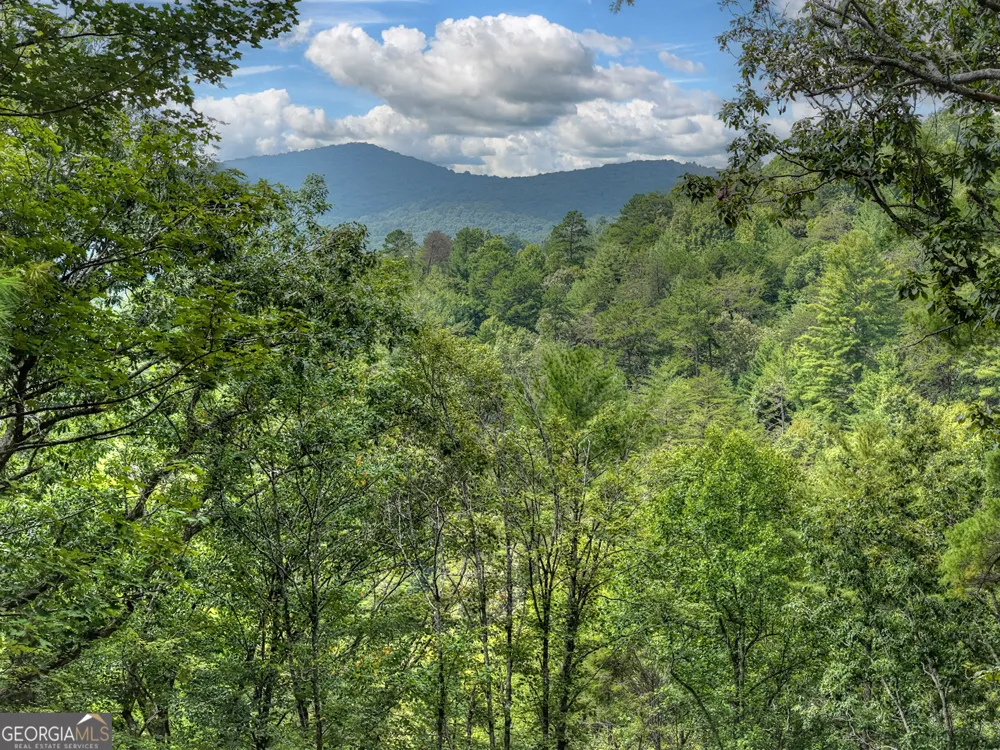 1821 Stanley Creek RD Cherry Log, GA 30522
