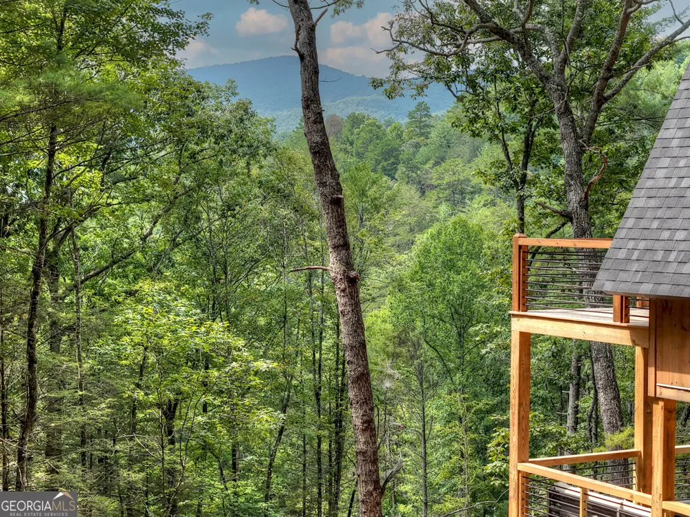 1821 Stanley Creek RD Cherry Log, GA 30522