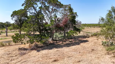 4049 Old Colony Line Road