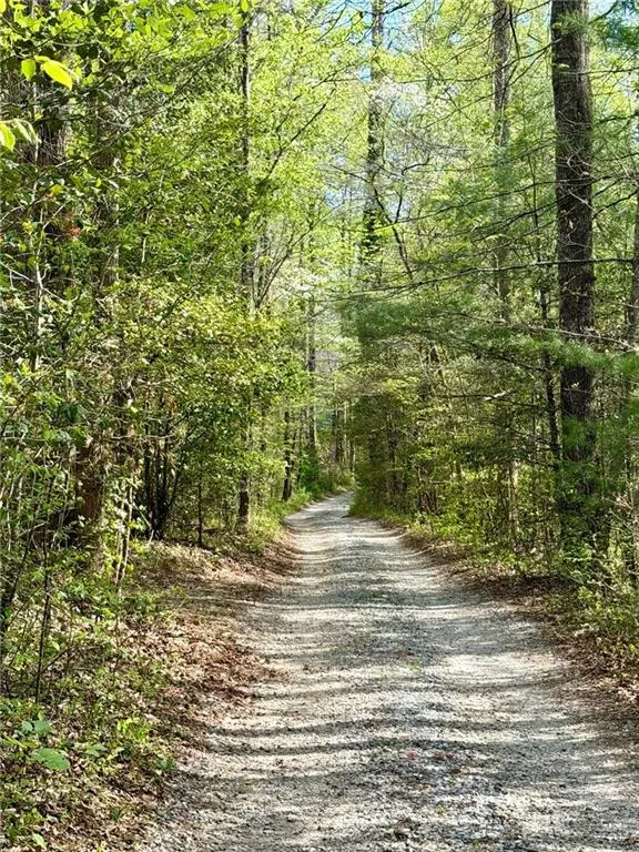294 Brookwood Lane Clarkesville, GA 30523