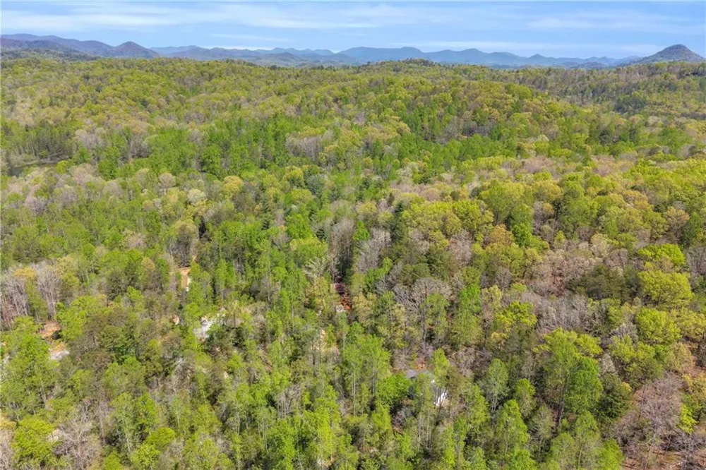 294 Brookwood Lane Clarkesville, GA 30523