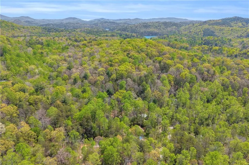 294 Brookwood Lane Clarkesville, GA 30523