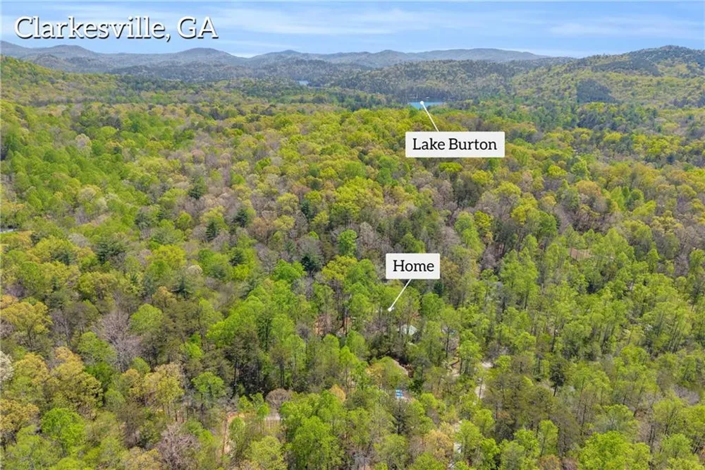 294 Brookwood Lane Clarkesville, GA 30523