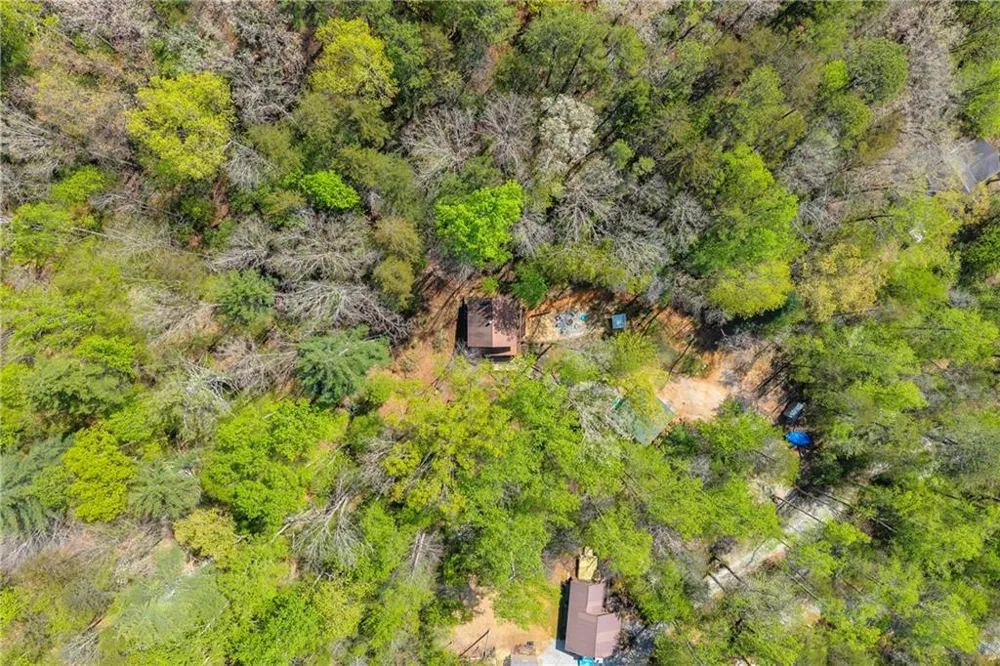 294 Brookwood Lane Clarkesville, GA 30523