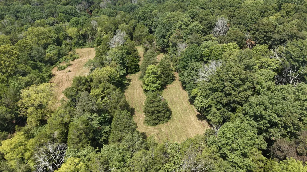 685 Red Tuttle Rd Bethpage, TN 37022