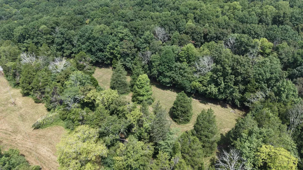 685 Red Tuttle Rd Bethpage, TN 37022