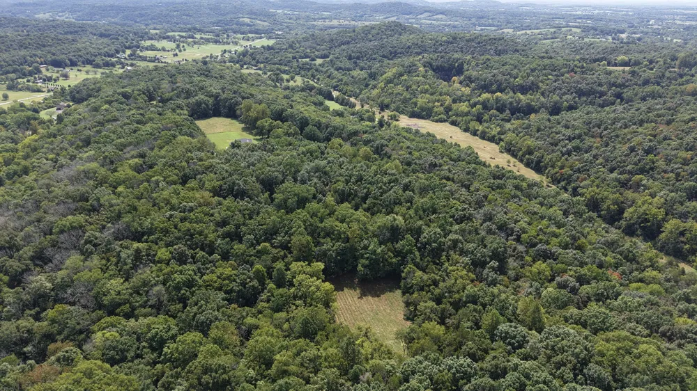 156 Madden Private Ln Bethpage, TN 37022