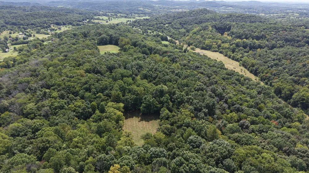156 Madden Private Ln Bethpage, TN 37022