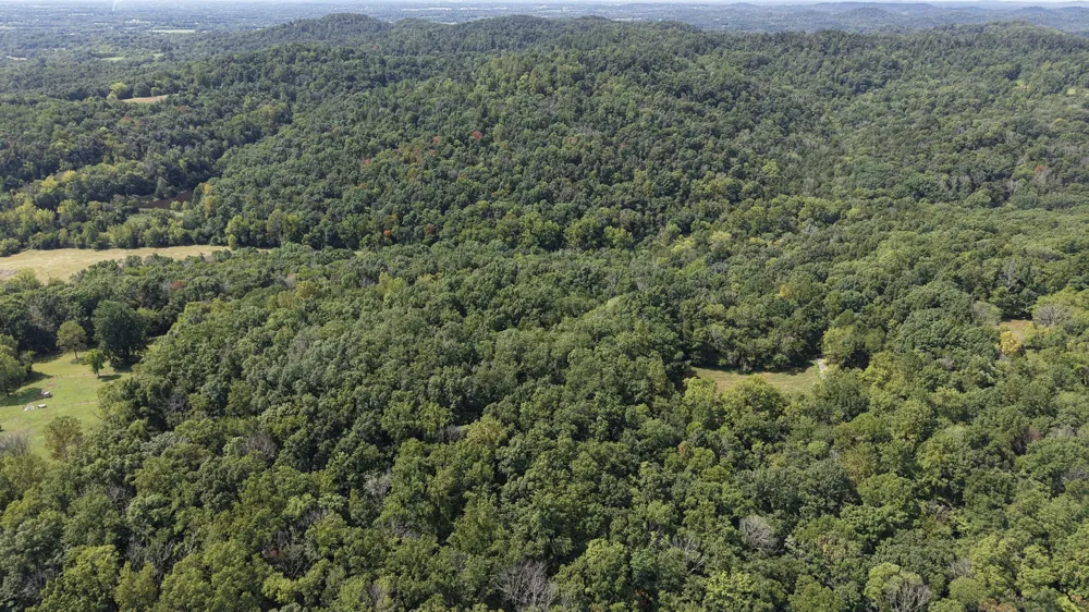156 Madden Private Ln Bethpage, TN 37022