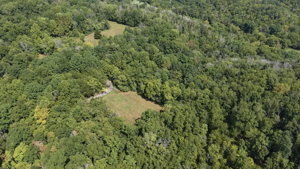 156 Madden Private Ln Bethpage, TN 37022