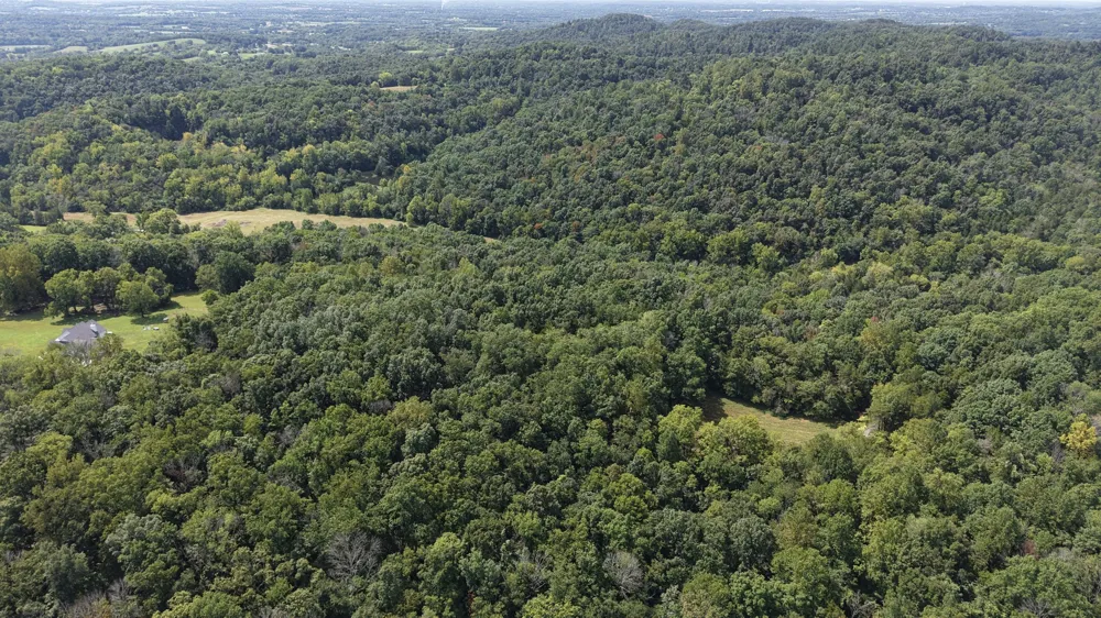 156 Madden Private Ln Bethpage, TN 37022