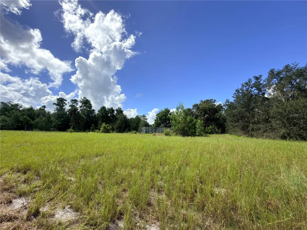 41938 PINE VALLEY DRIVE Paisley, FL 32767