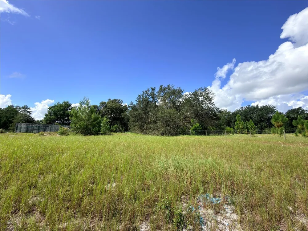 41938 PINE VALLEY DRIVE Paisley, FL 32767