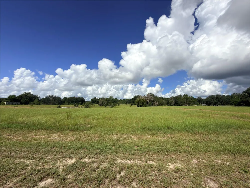 41938 PINE VALLEY DRIVE Paisley, FL 32767