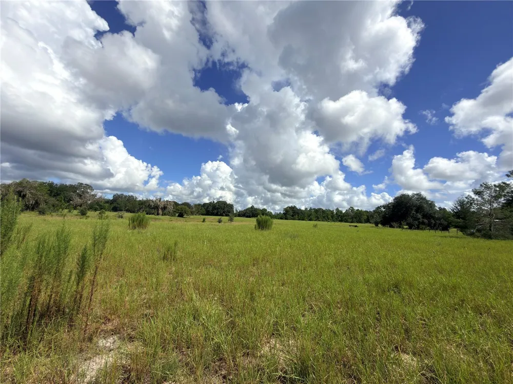 41938 PINE VALLEY DRIVE Paisley, FL 32767
