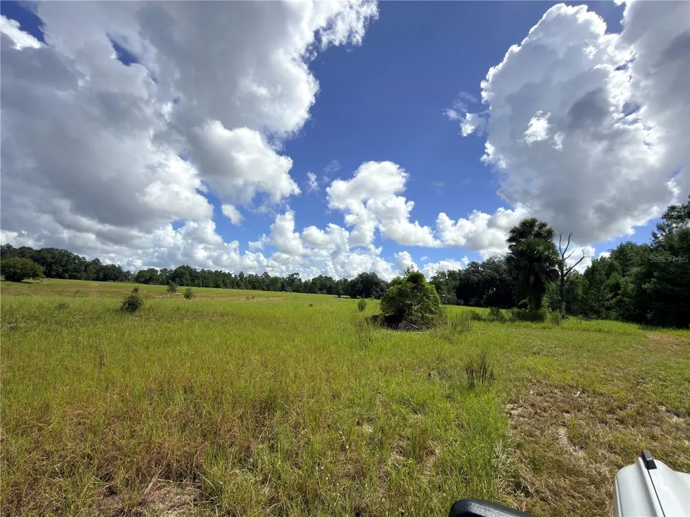 41938 PINE VALLEY DRIVE Paisley, FL 32767