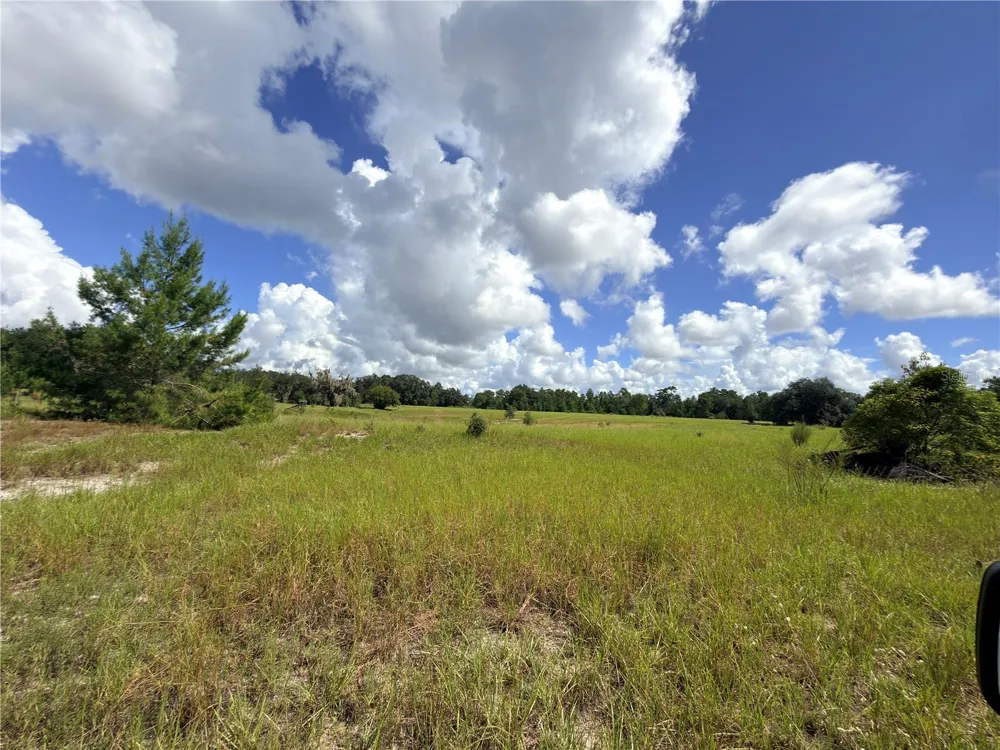 41938 PINE VALLEY DRIVE Paisley, FL 32767