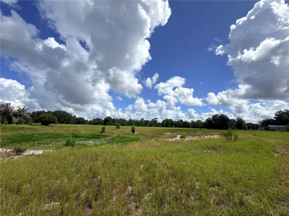 41938 PINE VALLEY DRIVE Paisley, FL 32767