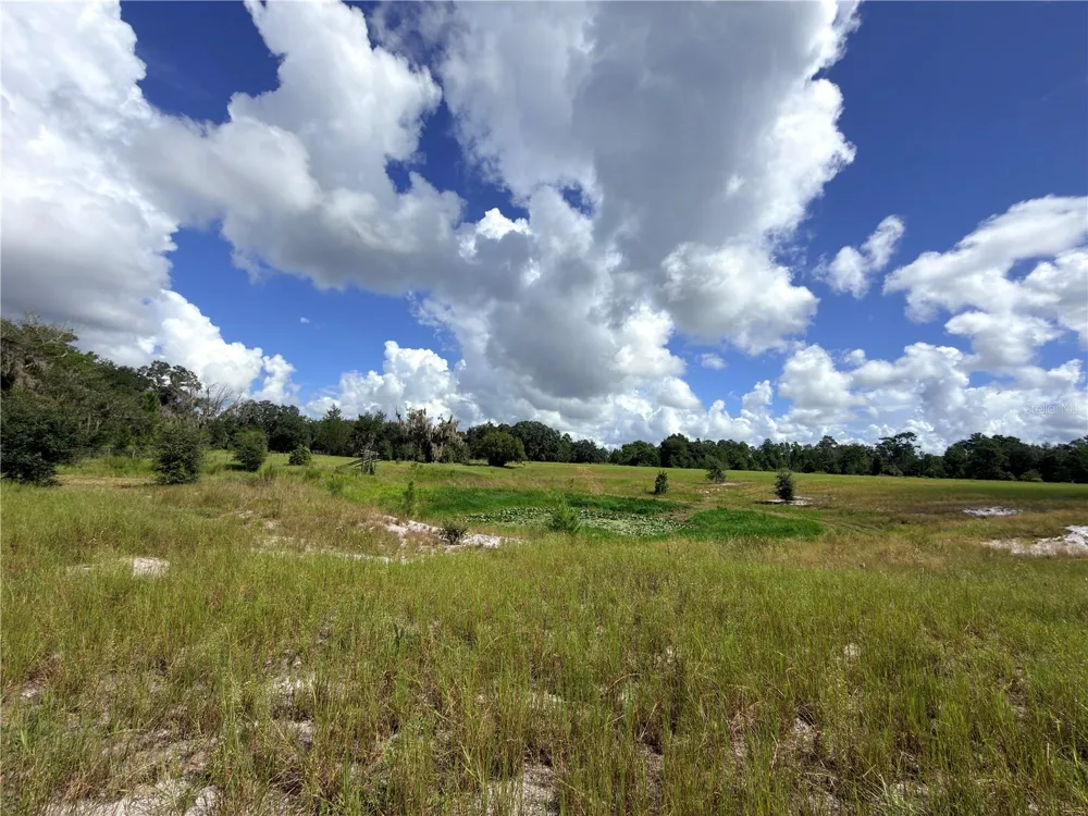 41938 PINE VALLEY DRIVE Paisley, FL 32767