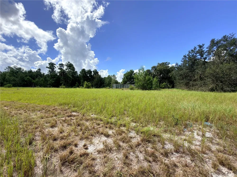 41938 PINE VALLEY DRIVE Paisley, FL 32767