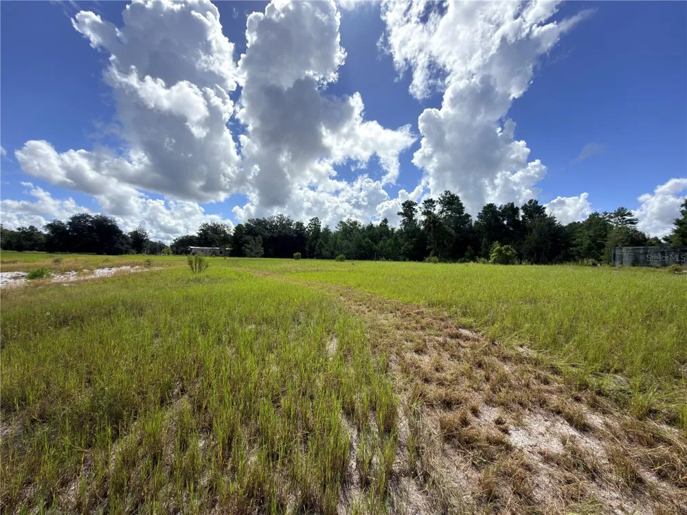 41938 PINE VALLEY DRIVE Paisley, FL 32767