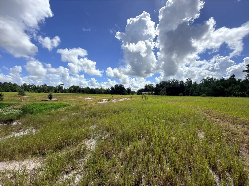 41938 PINE VALLEY DRIVE Paisley, FL 32767