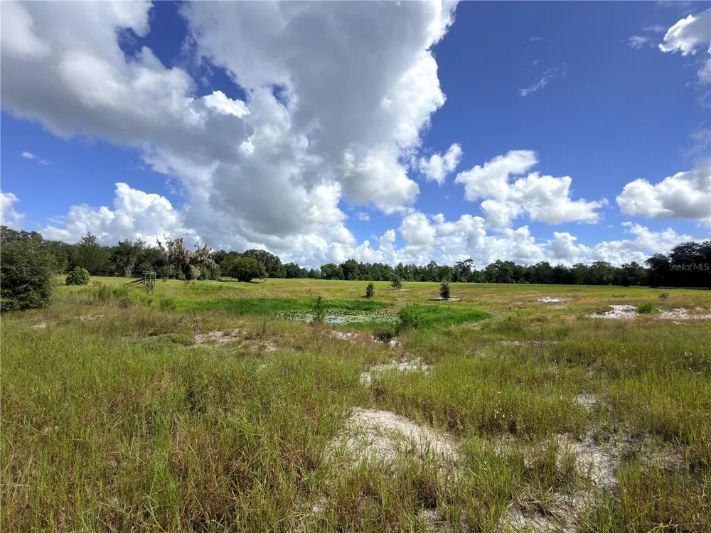 41938 PINE VALLEY DRIVE Paisley, FL 32767