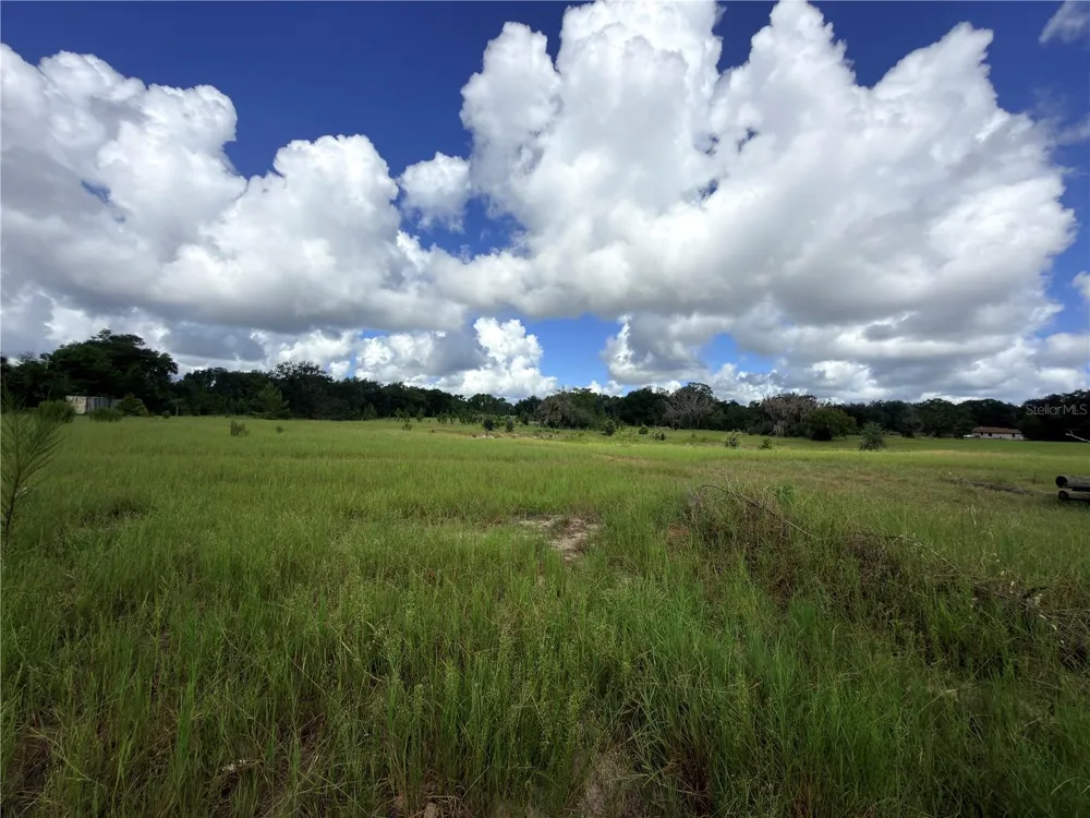 41938 PINE VALLEY DRIVE Paisley, FL 32767