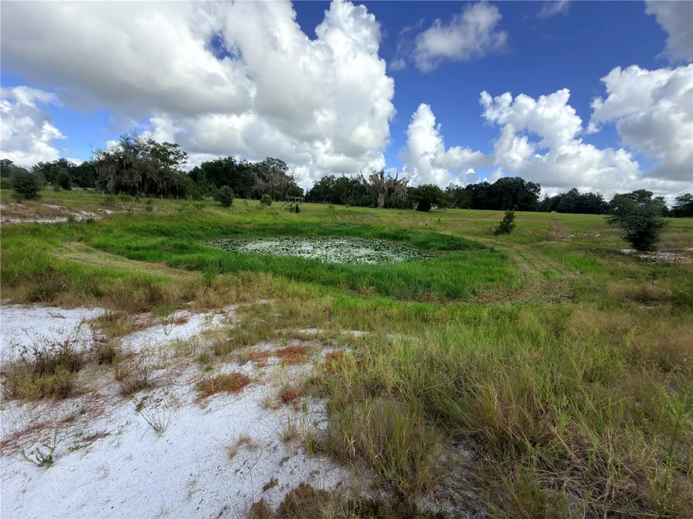 41938 PINE VALLEY DRIVE Paisley, FL 32767
