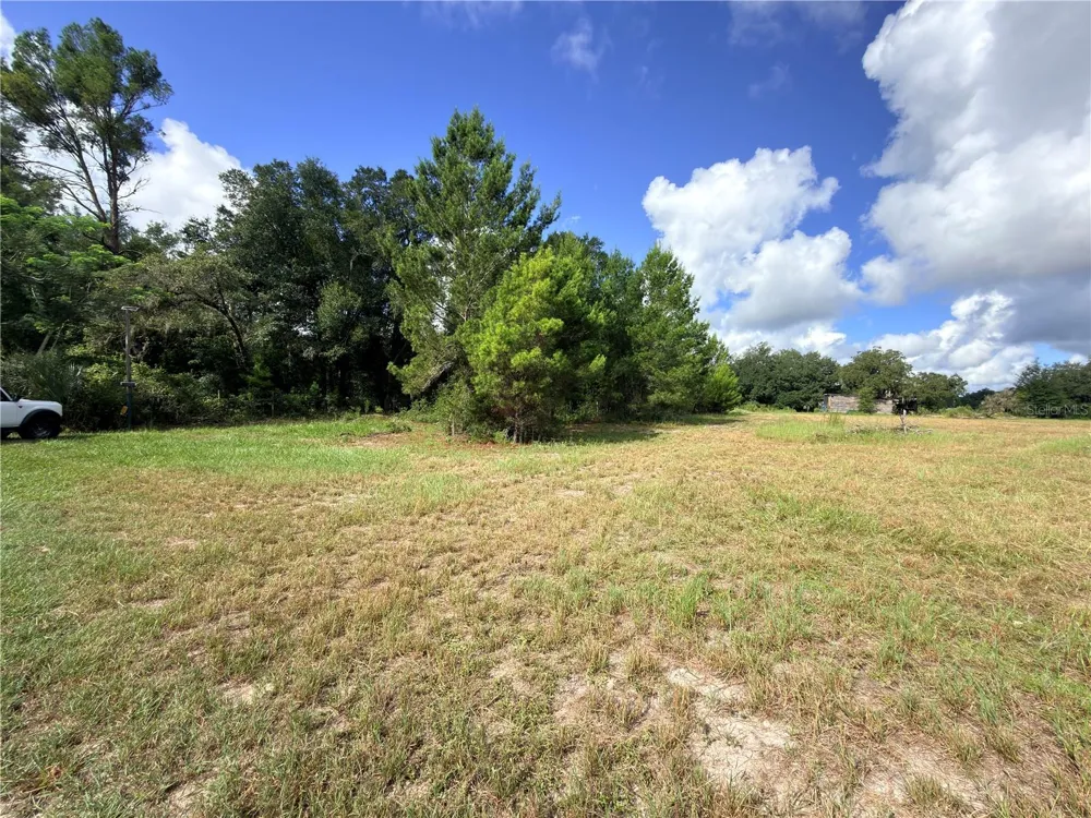 41938 PINE VALLEY DRIVE Paisley, FL 32767