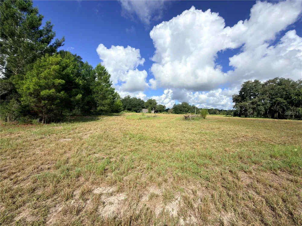 41938 PINE VALLEY DRIVE Paisley, FL 32767