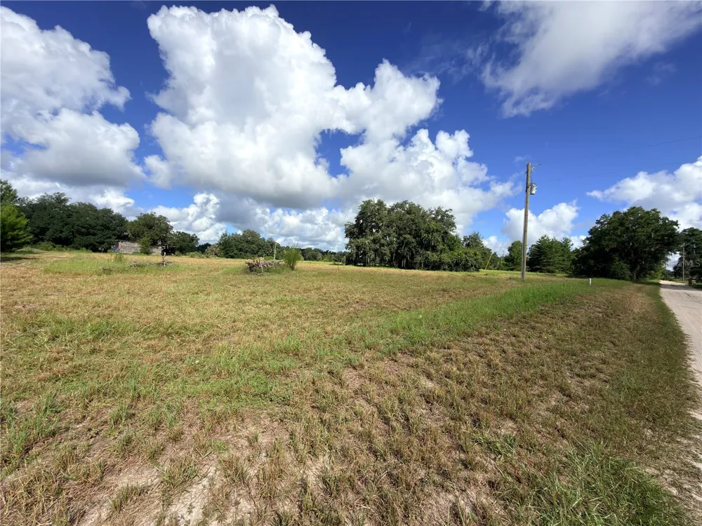 41938 PINE VALLEY DRIVE Paisley, FL 32767