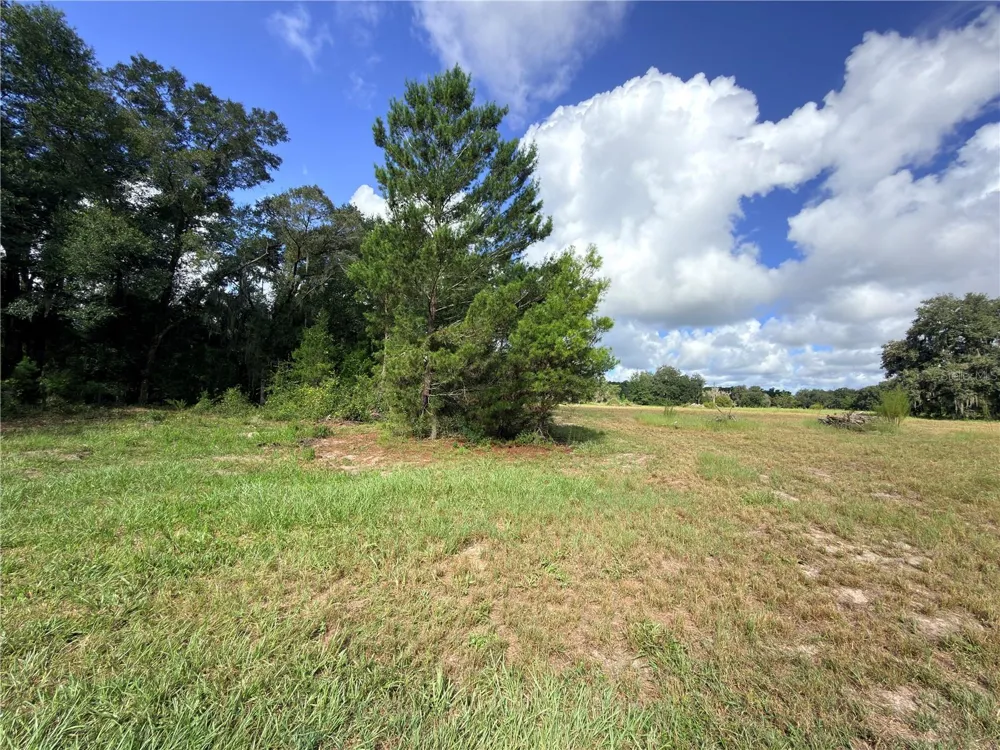 41938 PINE VALLEY DRIVE Paisley, FL 32767