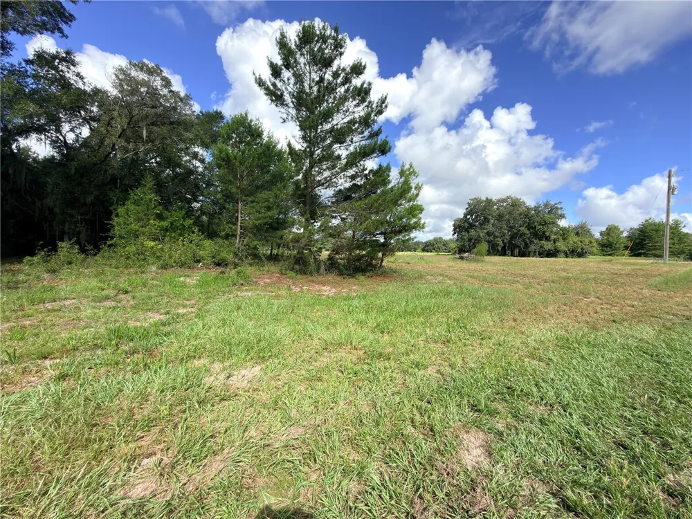 41938 PINE VALLEY DRIVE Paisley, FL 32767