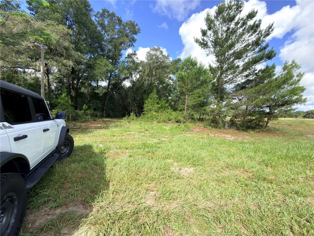 41938 PINE VALLEY DRIVE Paisley, FL 32767