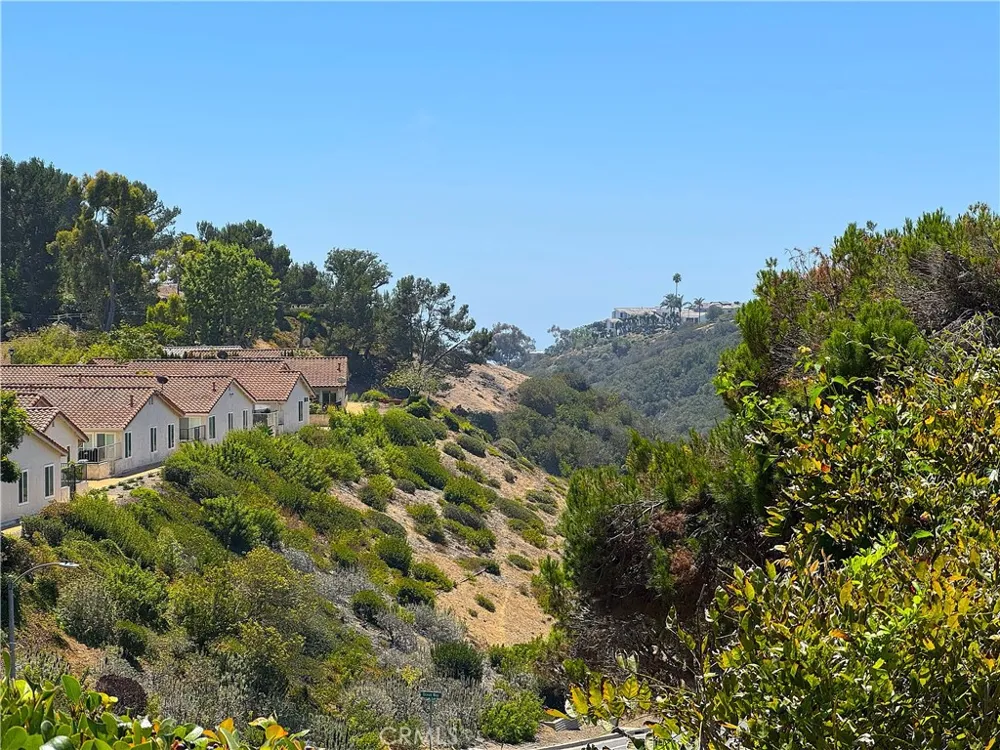 31372 Abanita Way Laguna Niguel, CA 92677