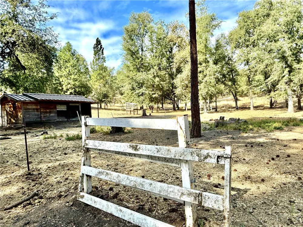 5919 Evergreen Mariposa, CA 95338