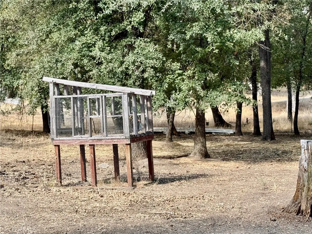 5919 Evergreen Mariposa, CA 95338