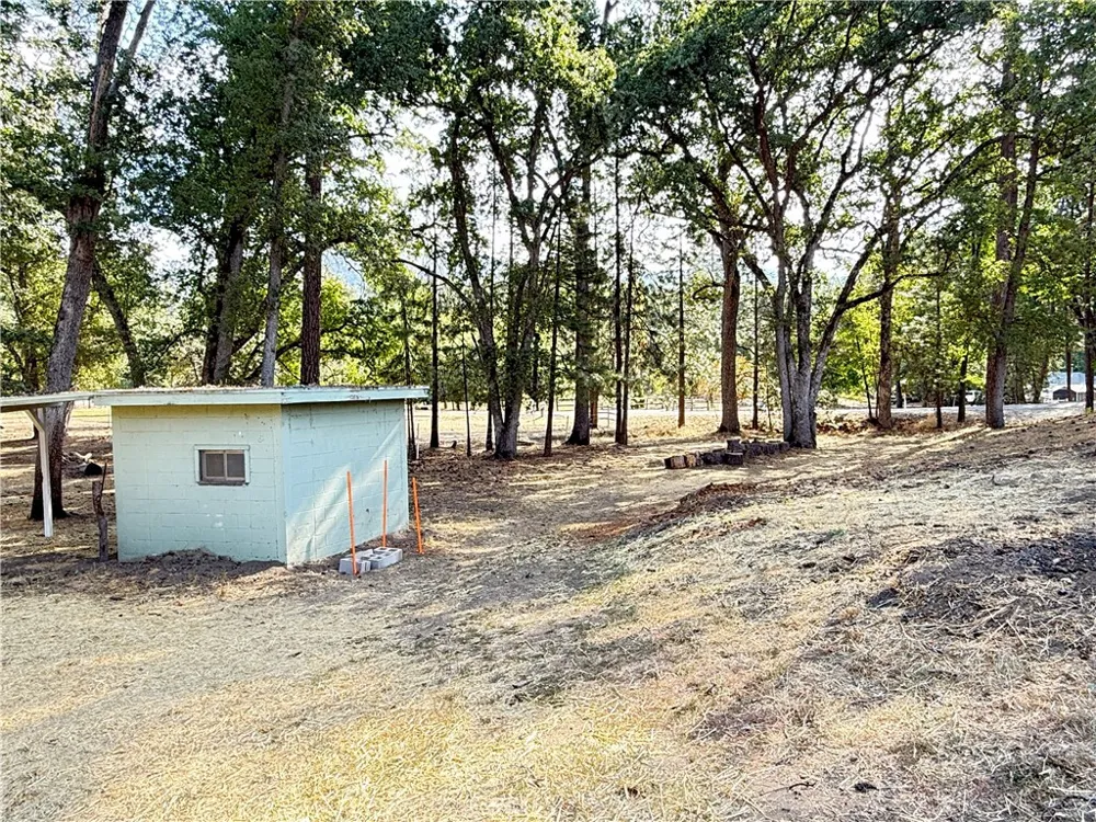 5919 Evergreen Mariposa, CA 95338