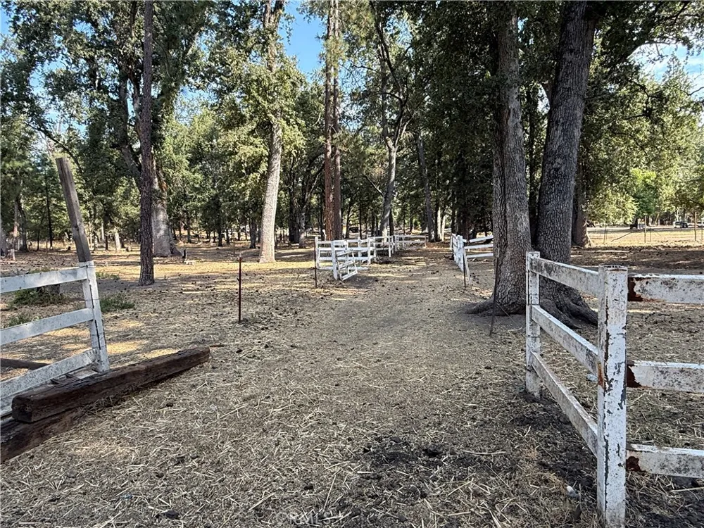 5919 Evergreen Mariposa, CA 95338