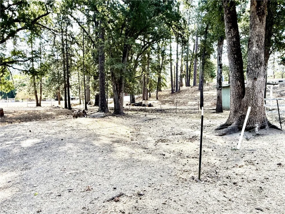 5919 Evergreen Mariposa, CA 95338