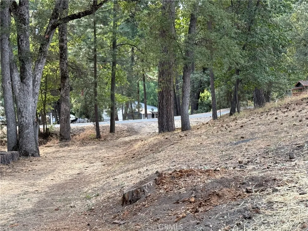 5919 Evergreen Mariposa, CA 95338
