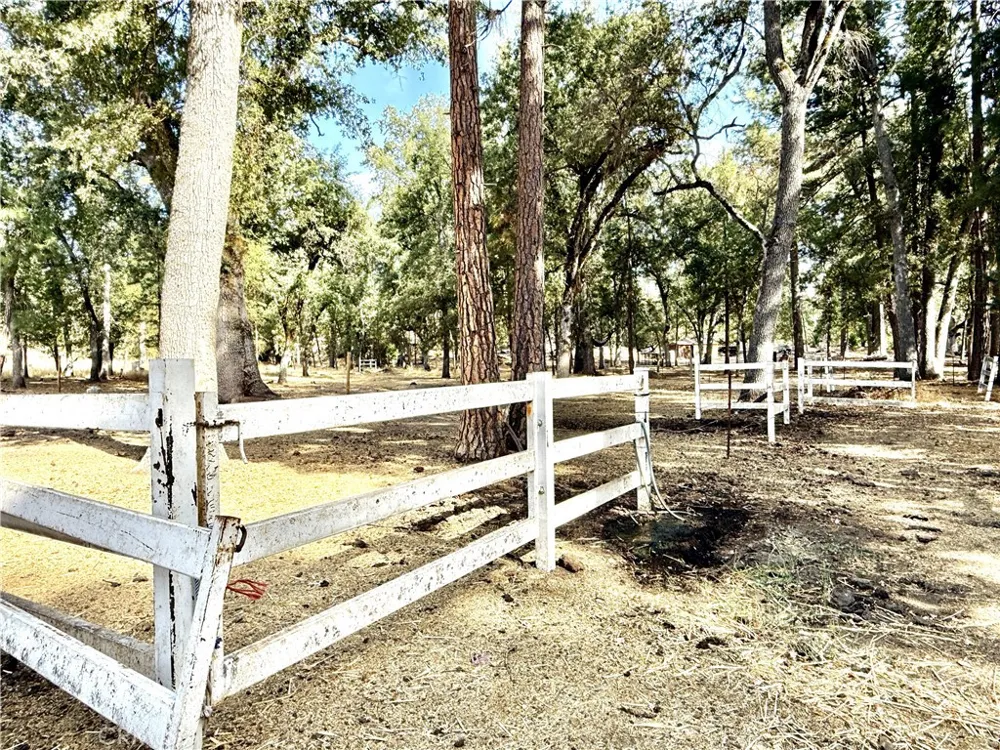 5919 Evergreen Mariposa, CA 95338