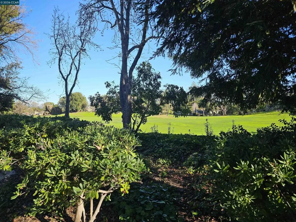 1471 Marchbanks Dr #2 Walnut Creek, CA 94598