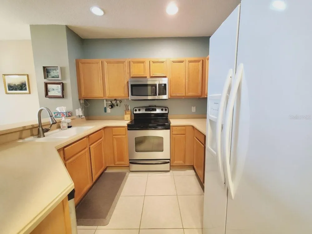 20420 NEEDLETREE DRIVE Tampa, FL 33647