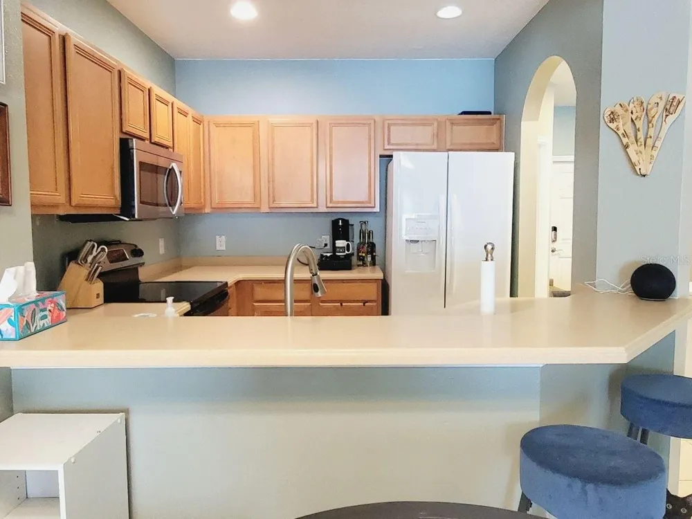 20420 NEEDLETREE DRIVE Tampa, FL 33647