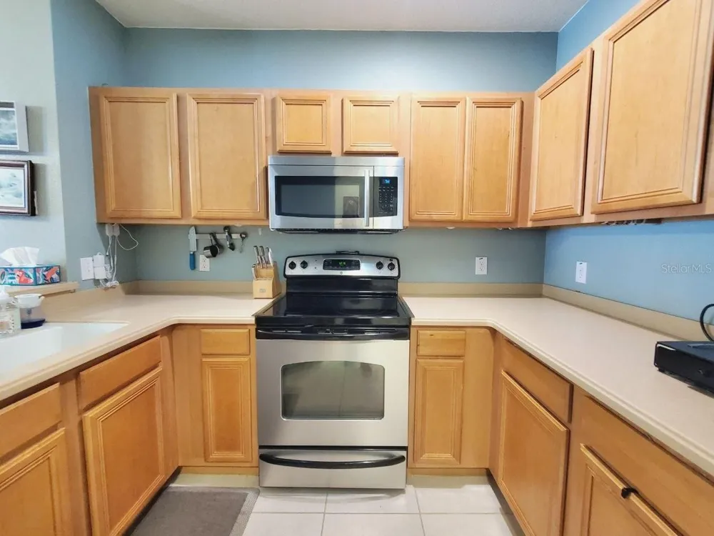20420 NEEDLETREE DRIVE Tampa, FL 33647