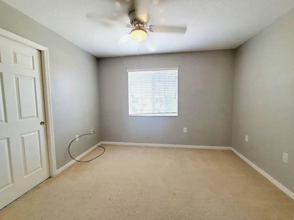 20420 NEEDLETREE DRIVE Tampa, FL 33647