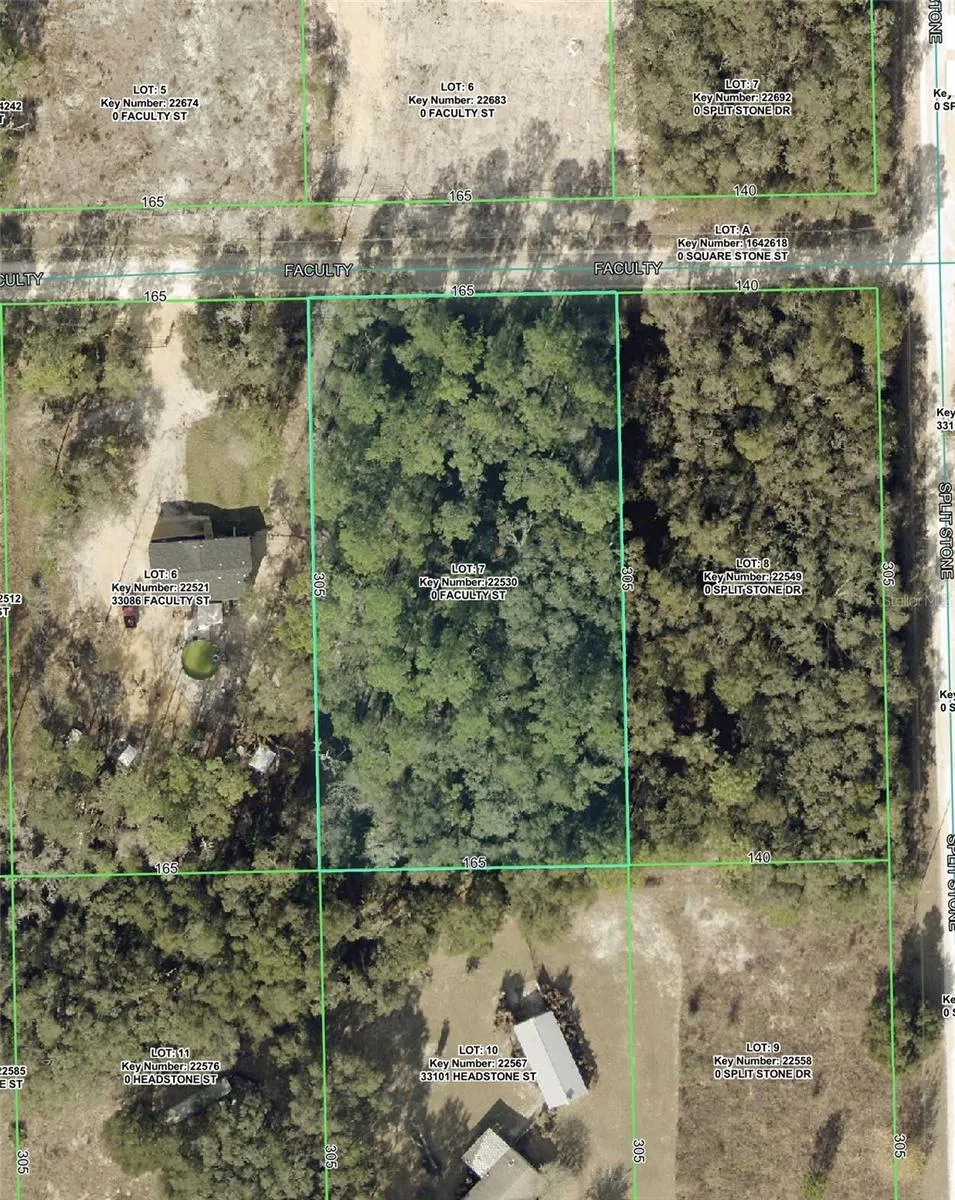 33104 FACULTY STREET Webster, FL 33597