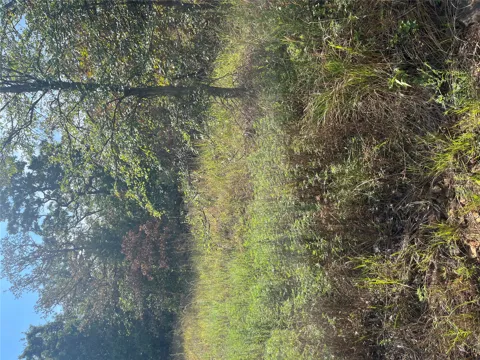 3580 246 ROAD